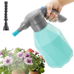 Amenajarea și întreținerea plantelor de interior 1 2