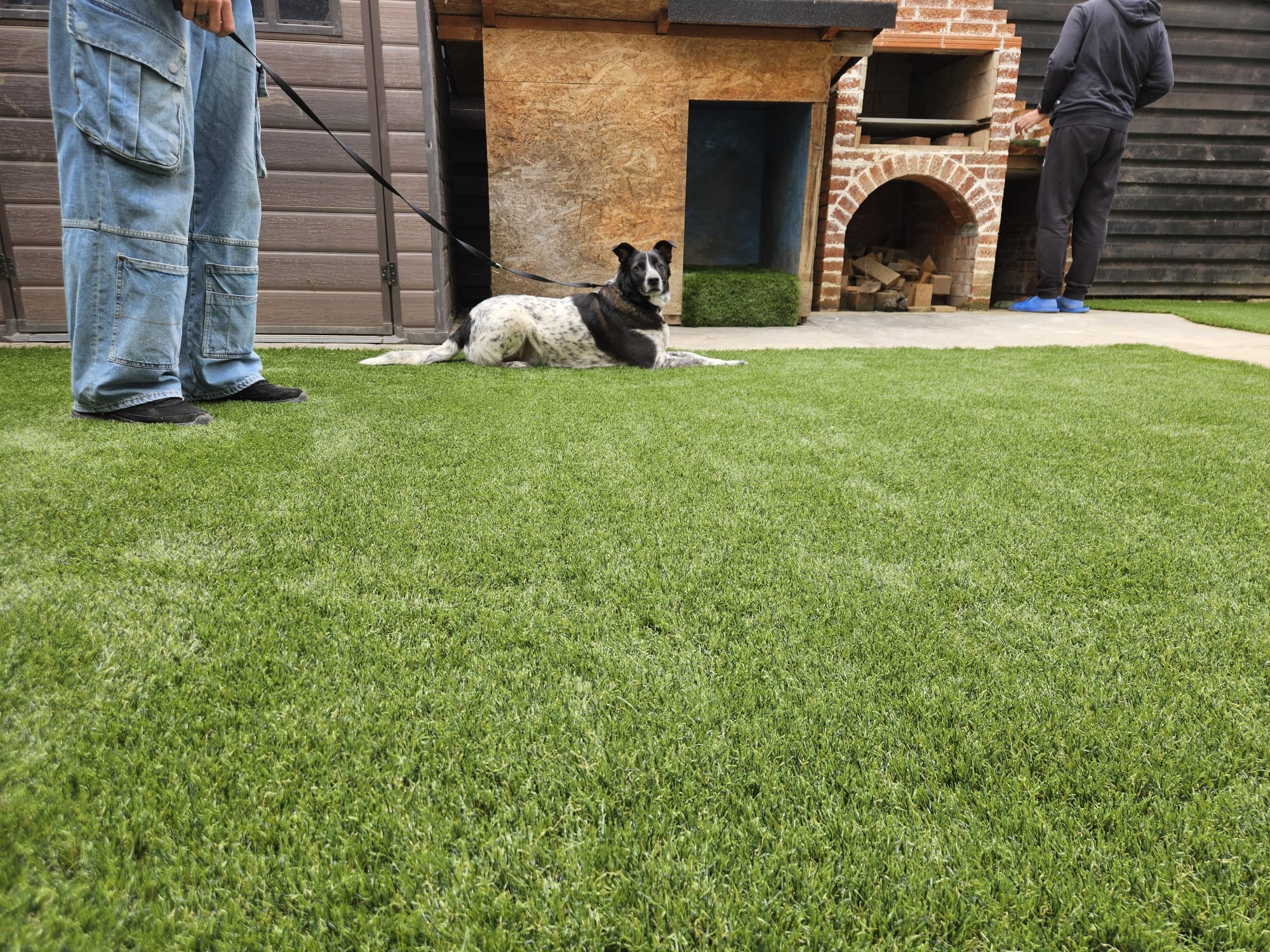 311080cd 3033 4640 b5f5 a4e7e119c883